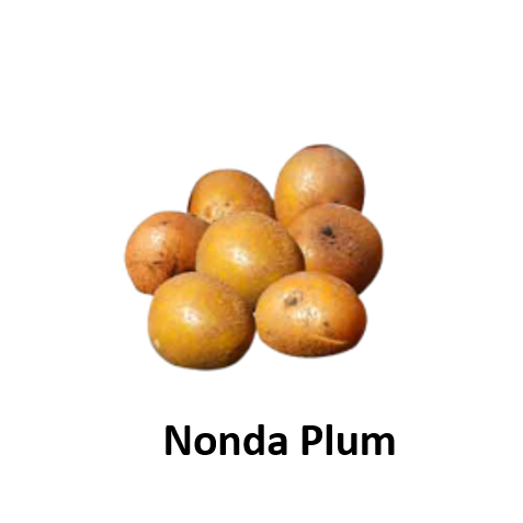 Nonda Plum