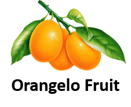 Orangelo Fruit