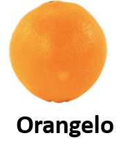 Orangelo