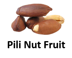 Pili Nut Fruit