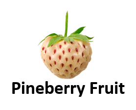 Pineberry Fruit