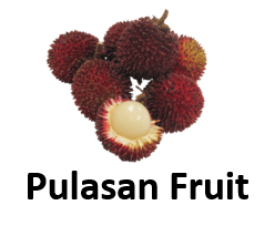 Pulasan Fruit