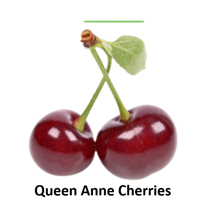 Queen Anne Cherries