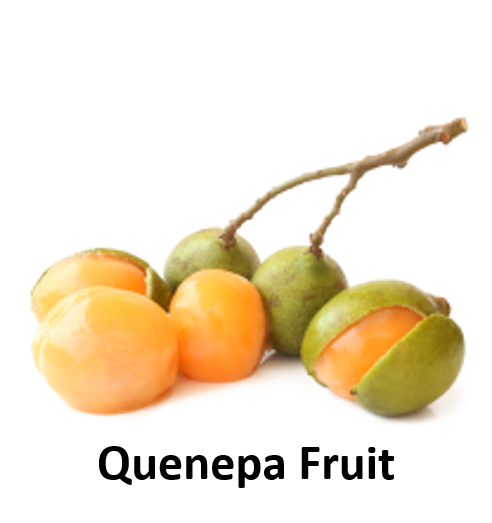 Quenepa Fruit