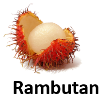 Rambutan