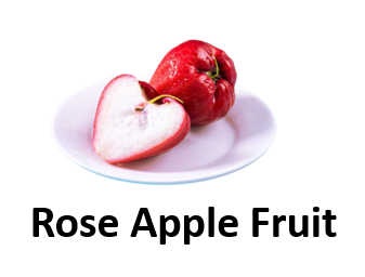 Rose Apple Fruit