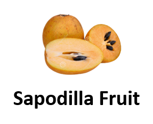 Sapodilla Fruit