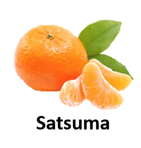 Satsuma