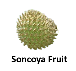 Soncoya Fruit
