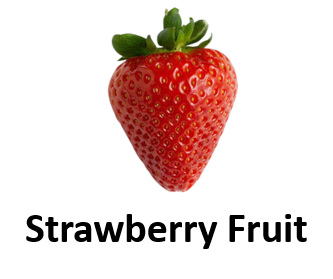 Strawberry Fruit