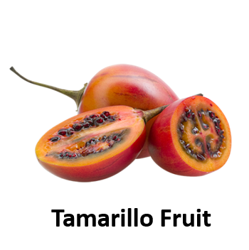 Tamarillo Fruit