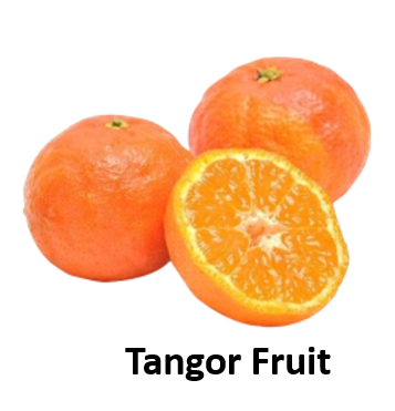 Tangor Fruit