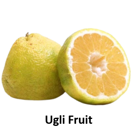 Ugli Fruit