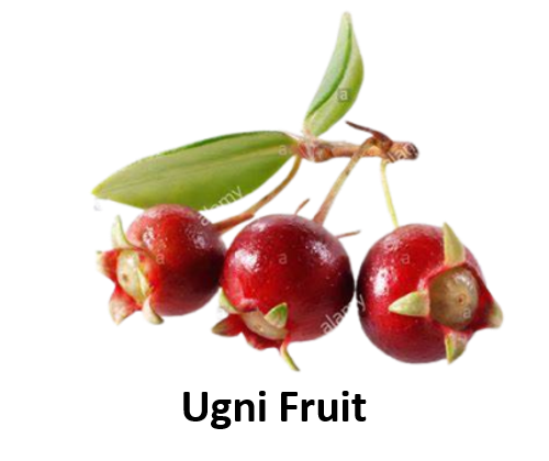 Ugni Fruit