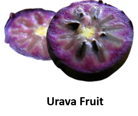 Urava Fruit