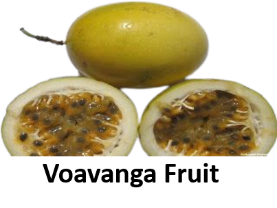 Voavanga Fruit