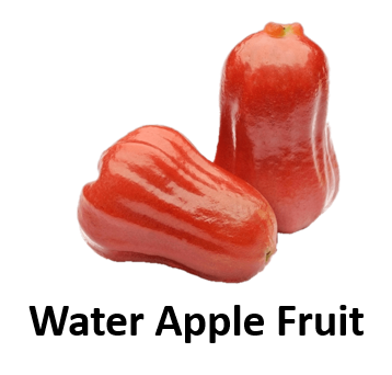 Water Apple Fruit