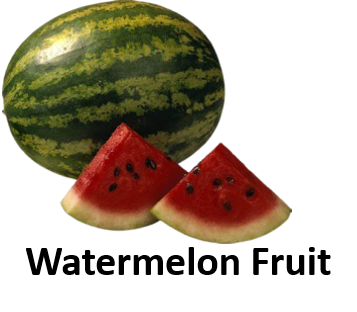 Watermelon Fruit