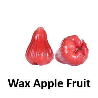 Wax Apple Fruit