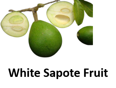 White Sapote Fruit
