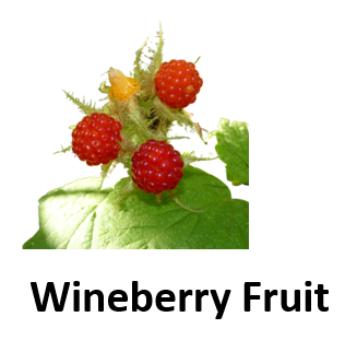 Wineberry Fruit