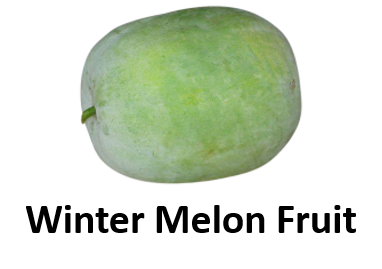 Winter Melon Fruit