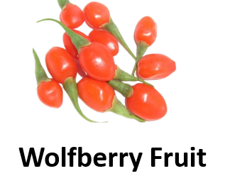 Wolfberry Fruit