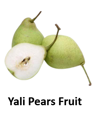 Yali Pears Fruit