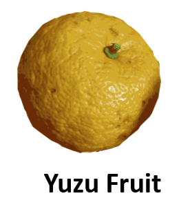 Yuzu Fruit