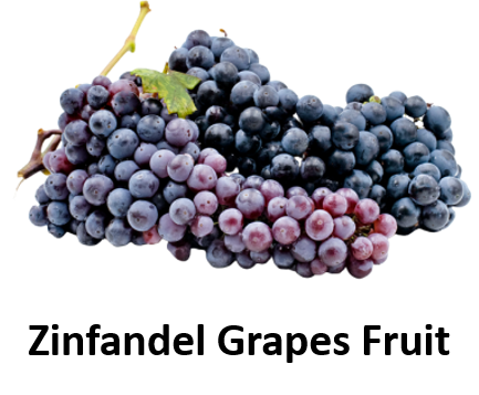 Zinfandel Grapes Fruit