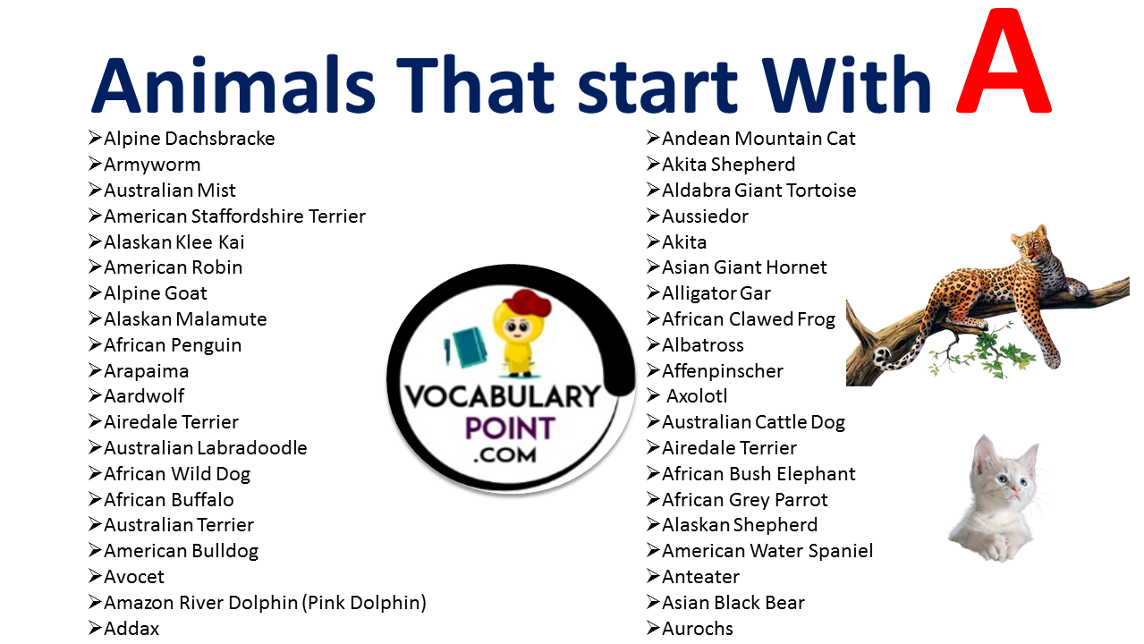 Animals that start with A - Vocabulary Point