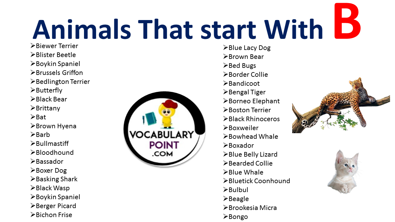 Animals that start with B - Vocabulary Point
