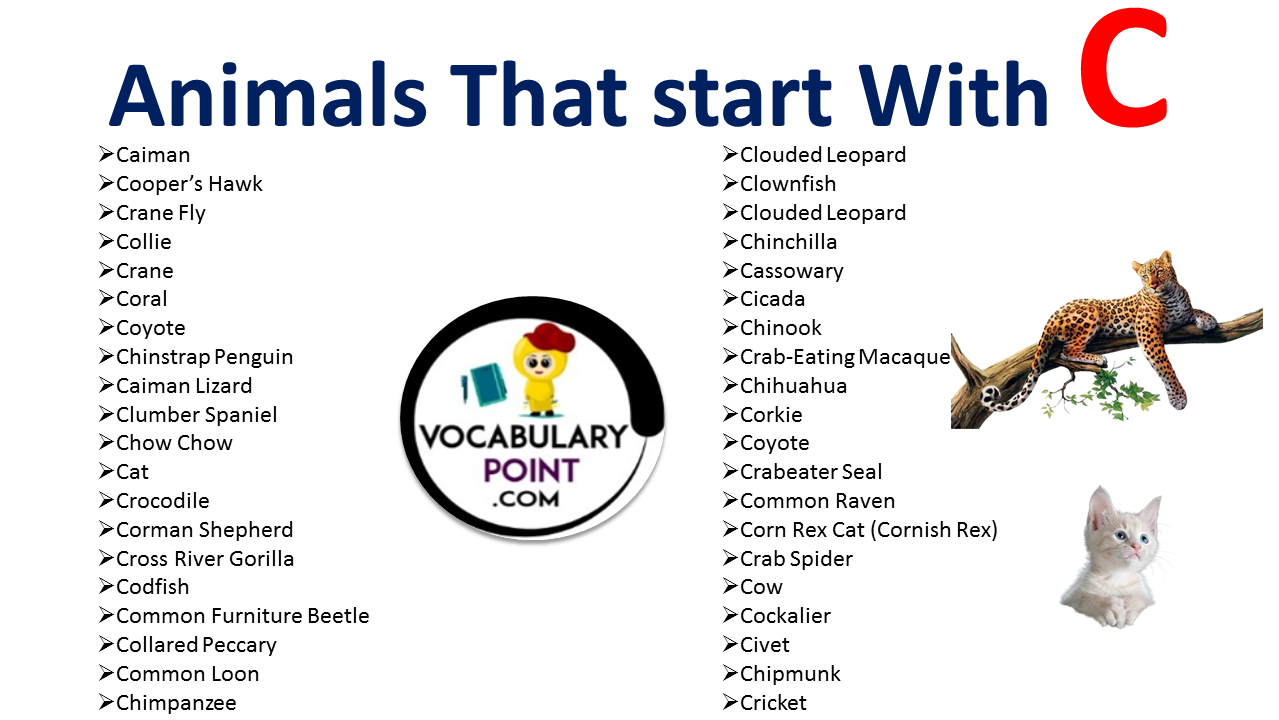 Animals that start with C - Vocabulary Point