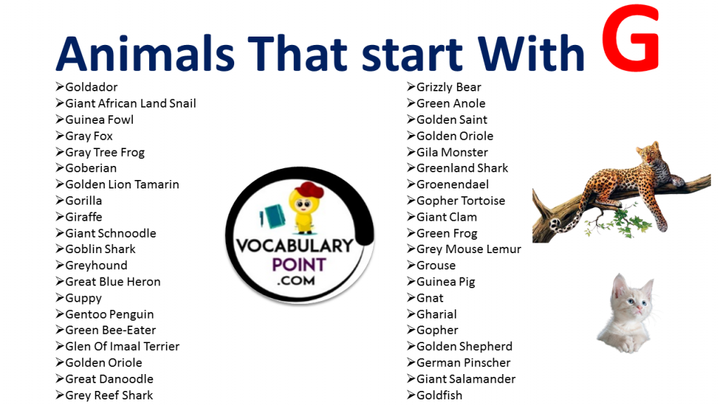 Animals That Start With G Vocabulary Point