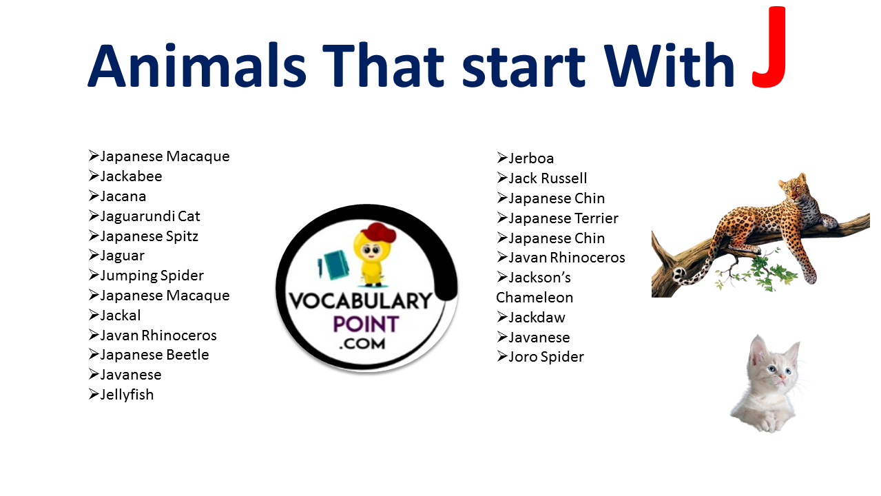Animals that start with J - Vocabulary Point