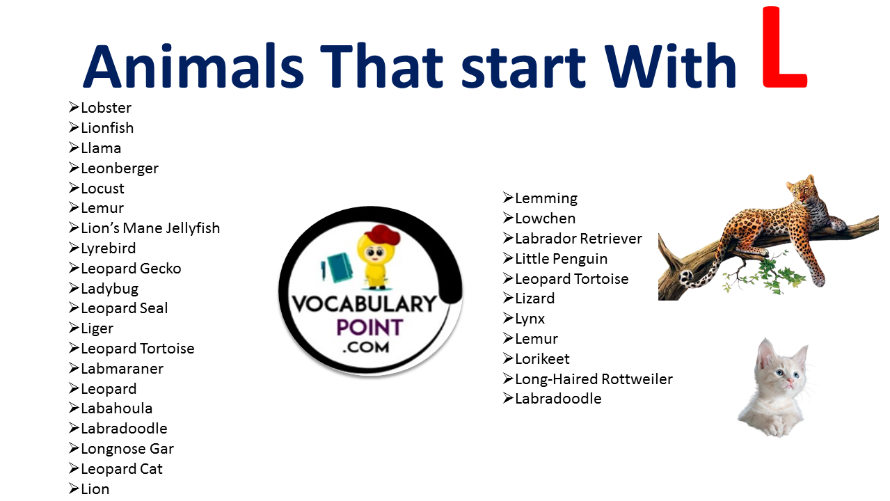 Animals that start with L - Vocabulary Point