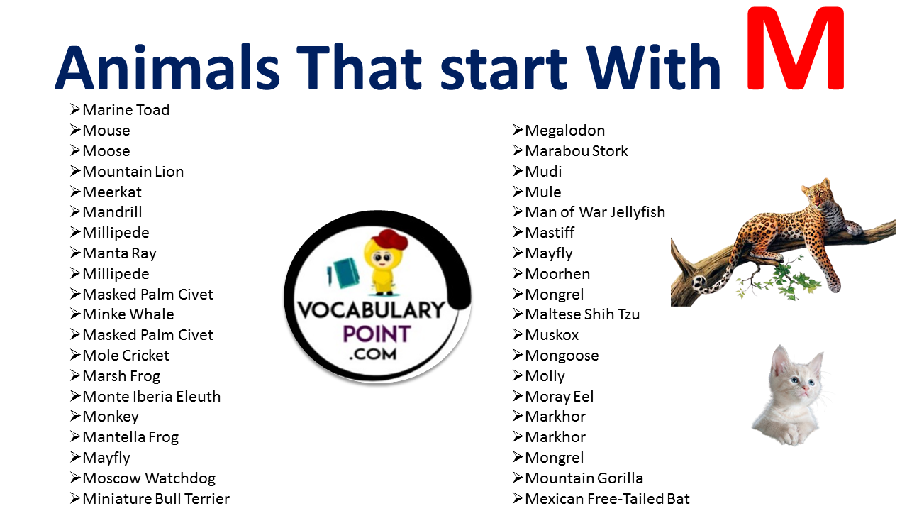Animals that start with M - Vocabulary Point