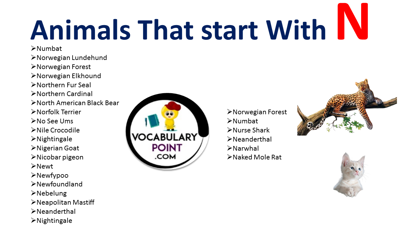 animals-that-start-with-n-vocabulary-point