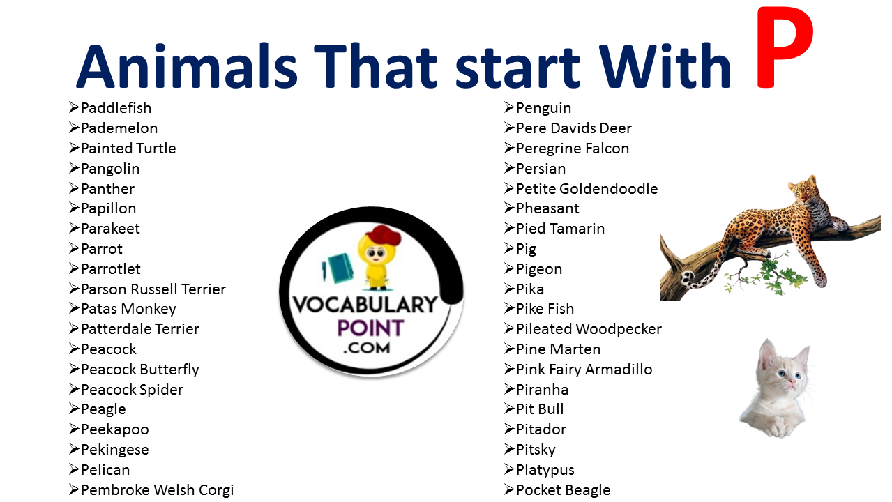 Animals that start with P 