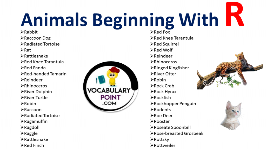 Animals That Start With R Vocabulary Point