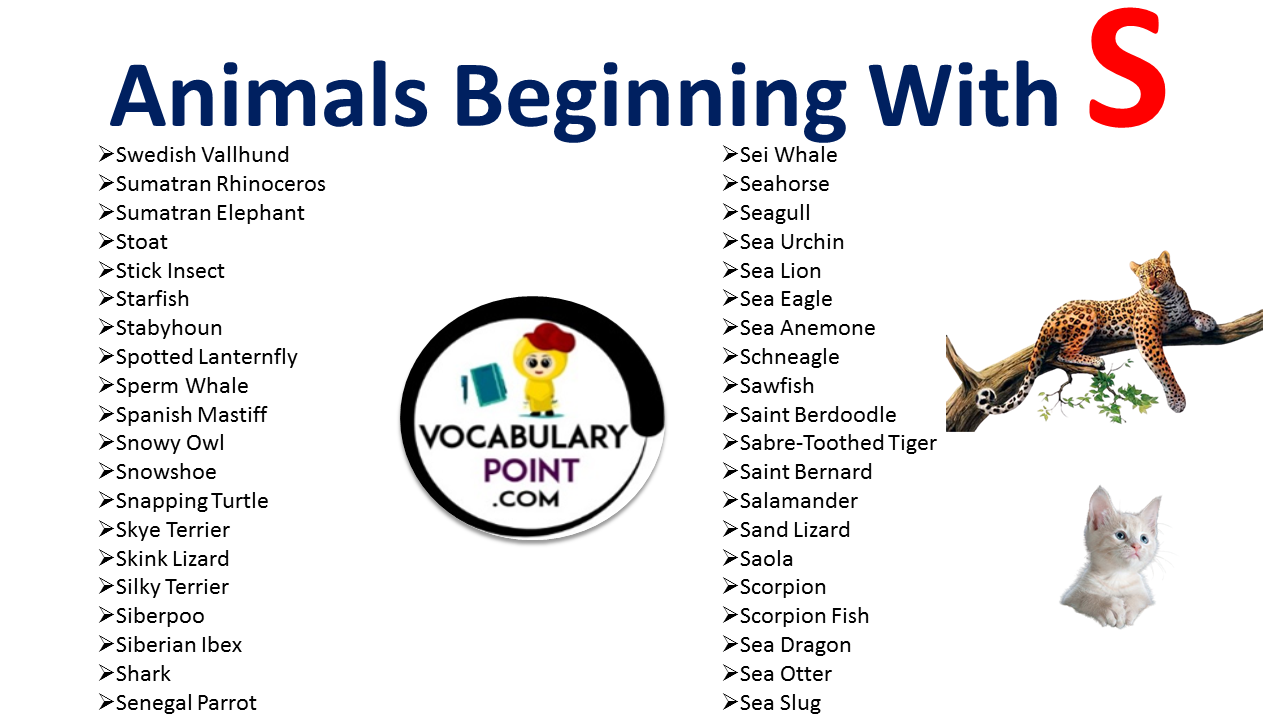 Animals that start with S - Vocabulary Point