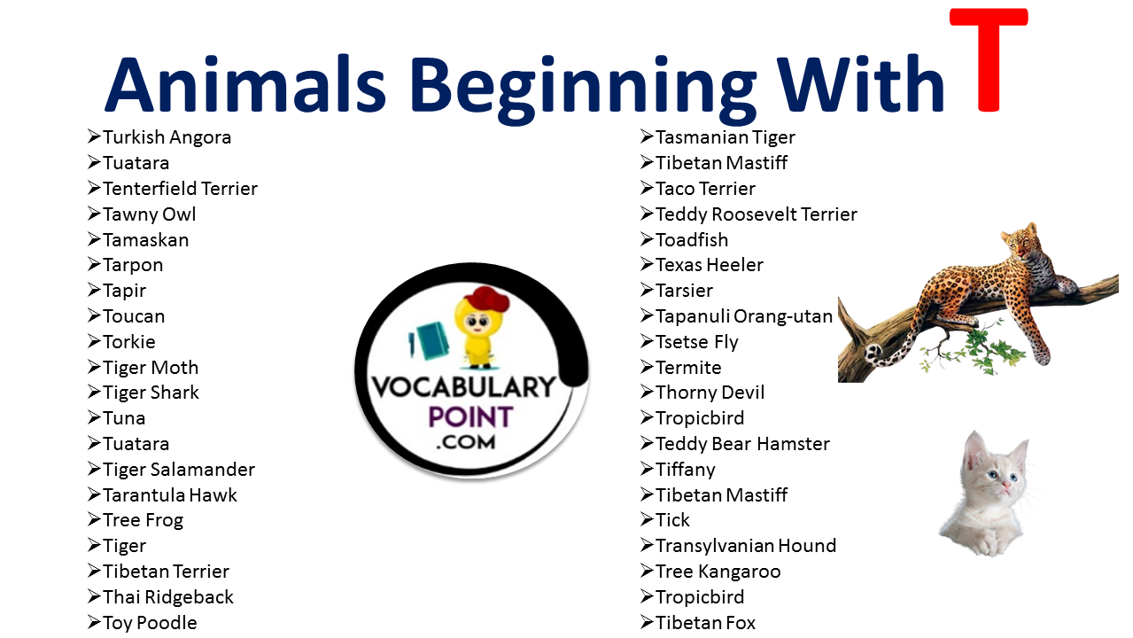 Animal Name Start With T Archives - Vocabulary Point