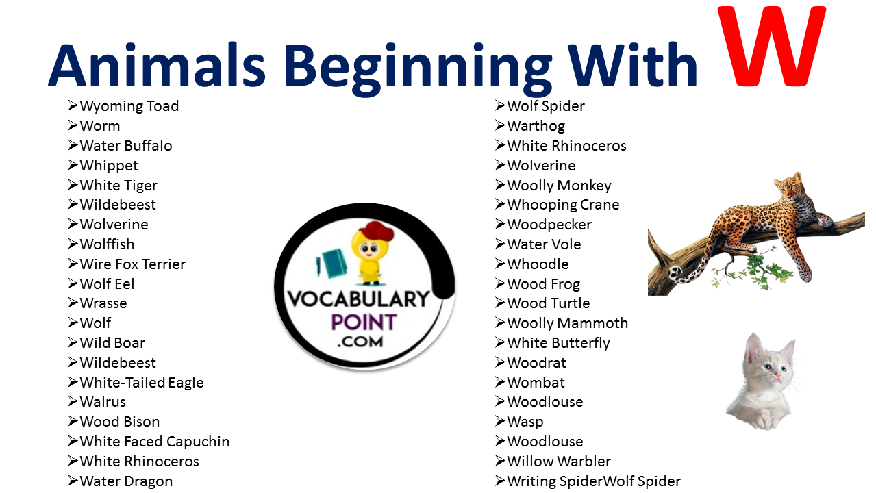 Animals that start with W - Vocabulary Point