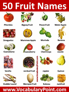 50 Fruit Names in English with Picture - Vocabulary Point