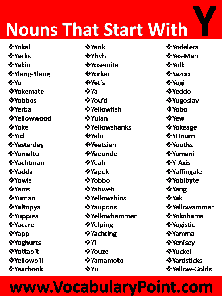 Nouns that starting with Y