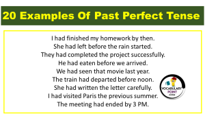 20 Examples of Past Perfect Tense - Vocabulary Point