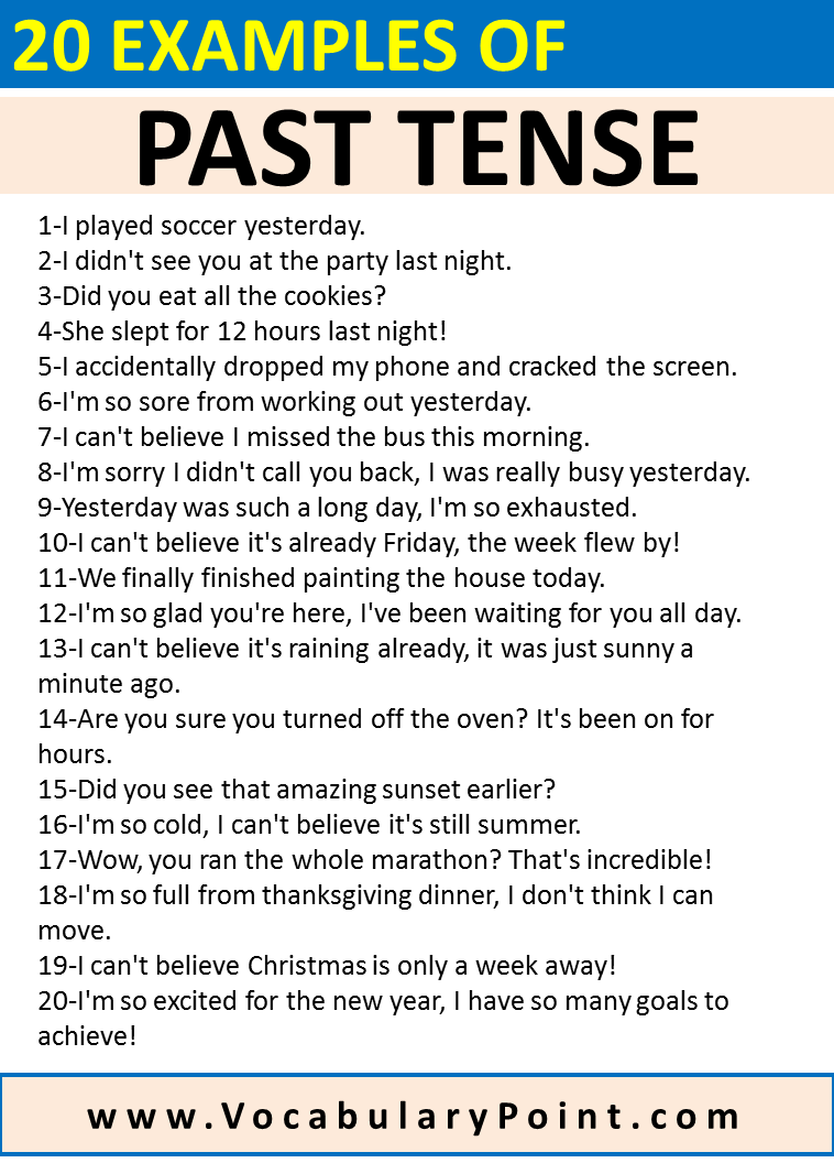 20 EXAMPLES OF PAST TENSE Vocabulary Point