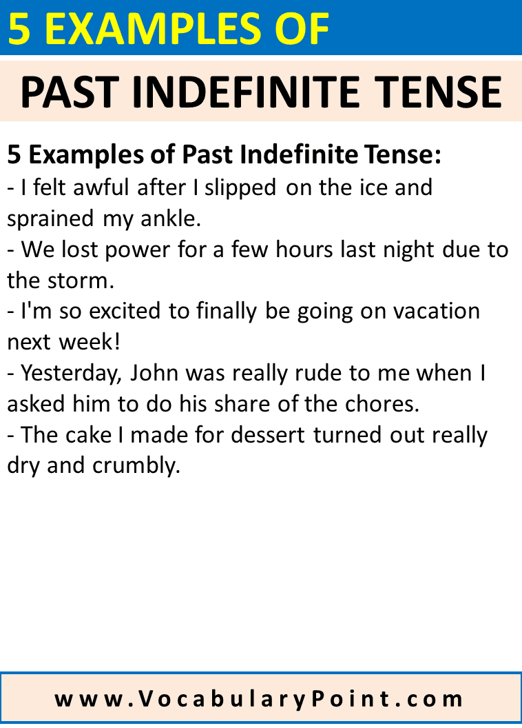 5 Past Indefinite Tense Examples