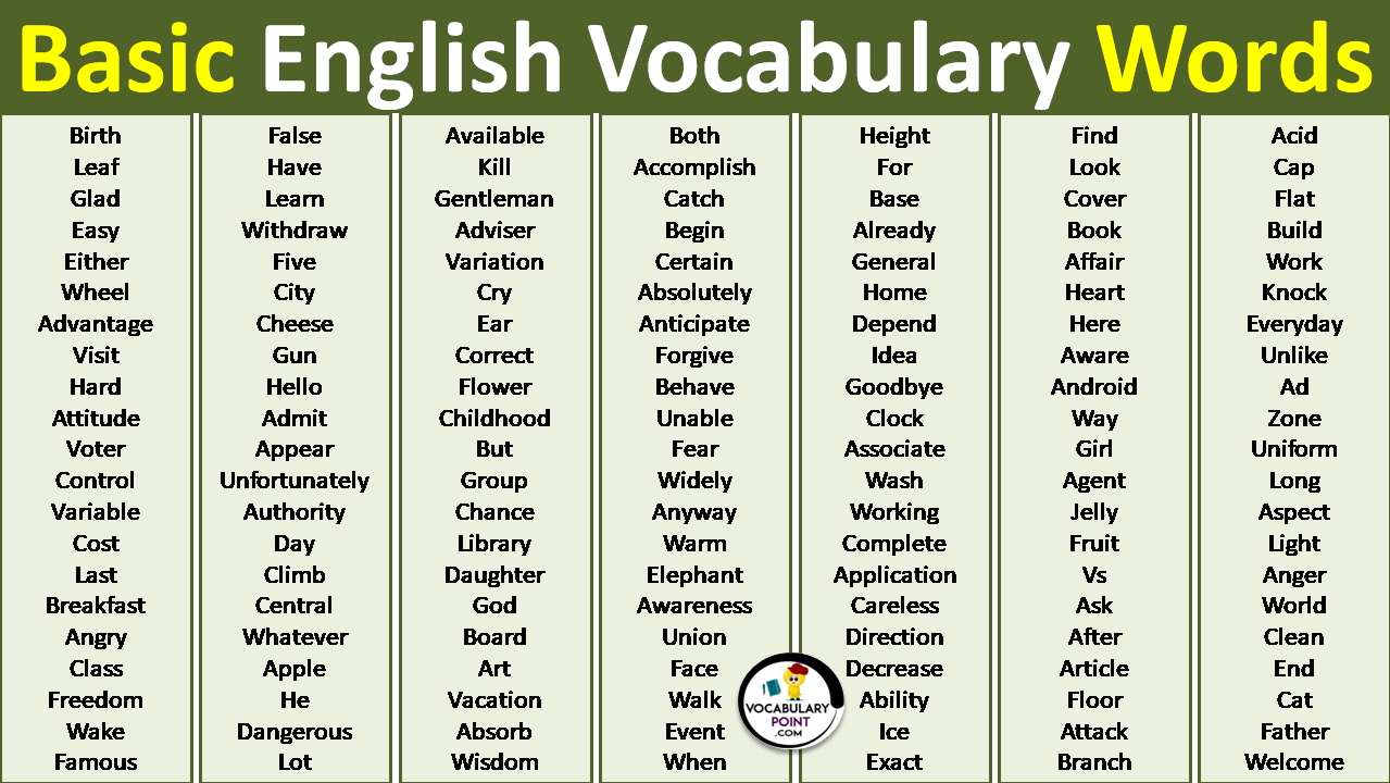 Basic English Vocabulary Words