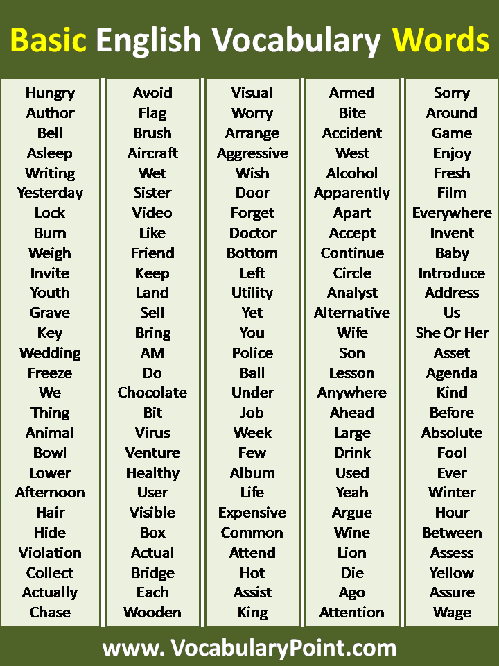 100+ Basic English Vocabulary Words - Vocabulary Point